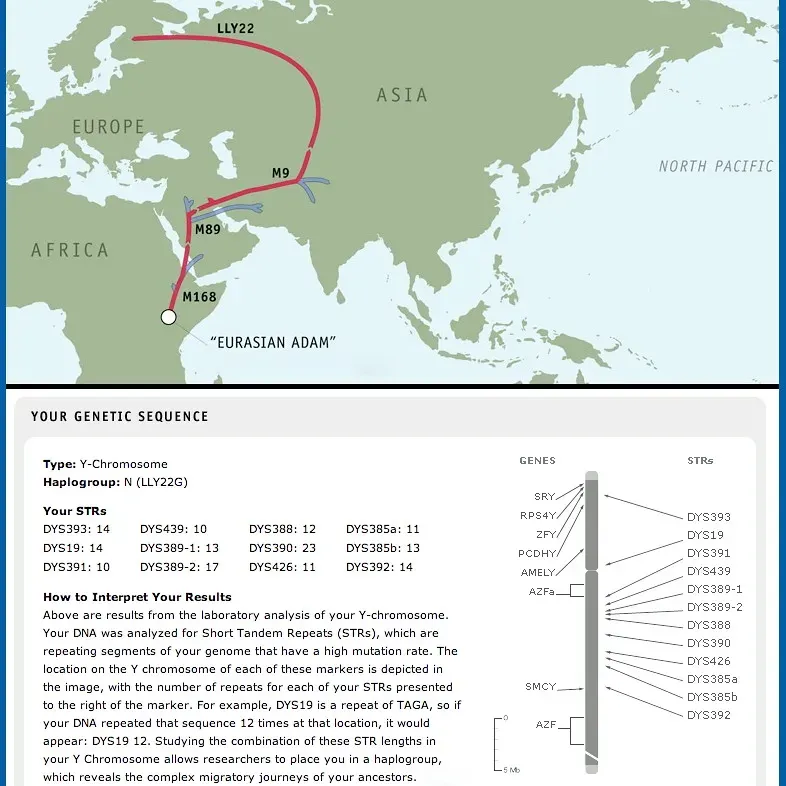 Reaching Asia: 60,000 Years of Footprints (jurvetson, Flickr, CC BY 2.0)