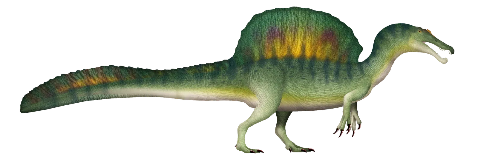 #12 - Warm-Blooded, Cold-Blooded, or Something Nobody Has a Name For? (By TotalDino, CC BY 4.0)