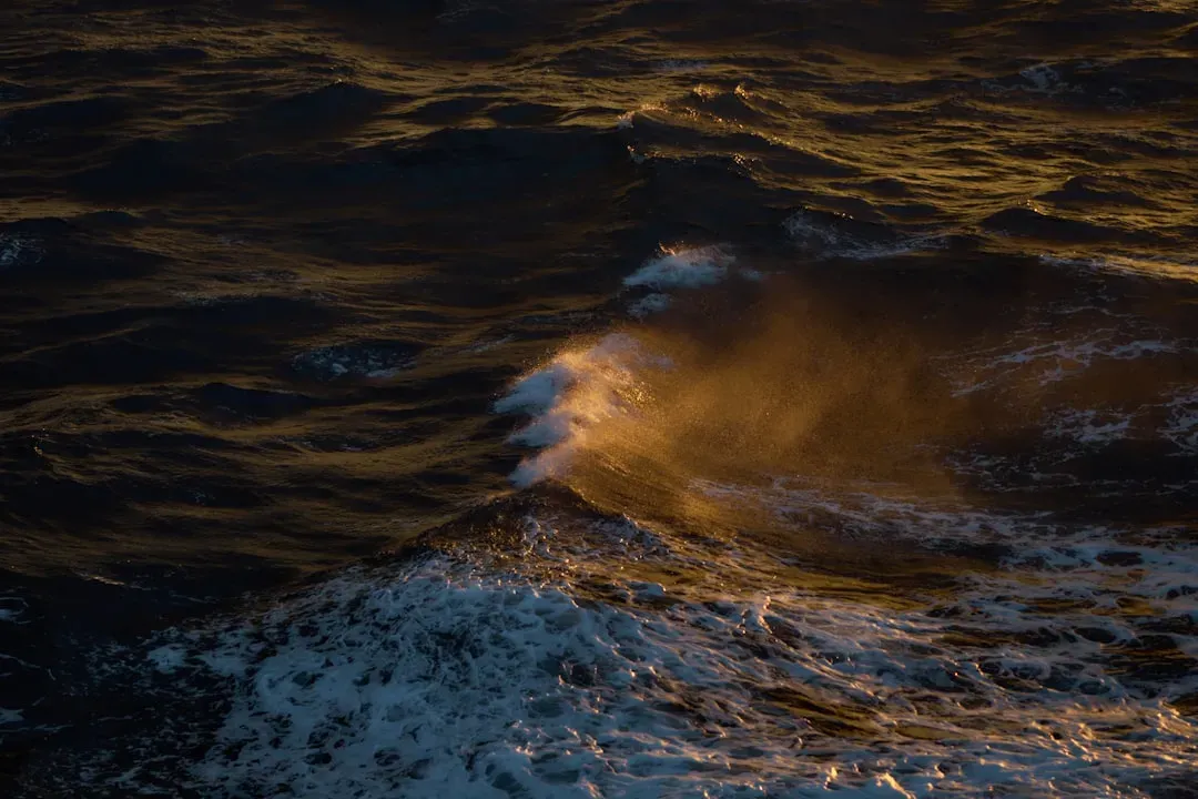 3. Ocean Temperatures Were Dramatically Warmer Than Today (Image Credits: Unsplash)