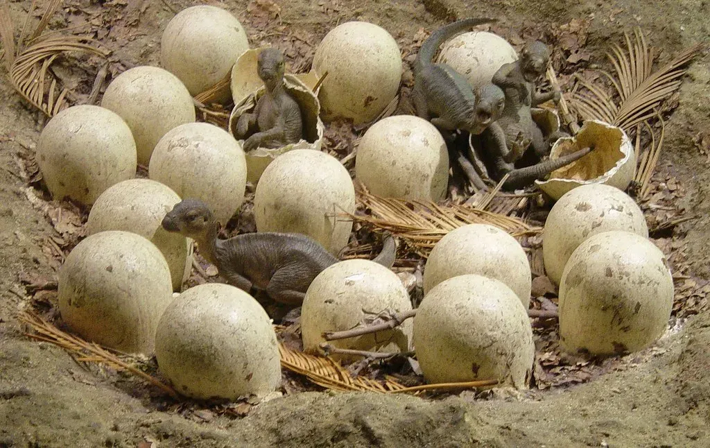 Embryos Had Two Sets of Teeth Before Hatching (Image Credits: Flickr)