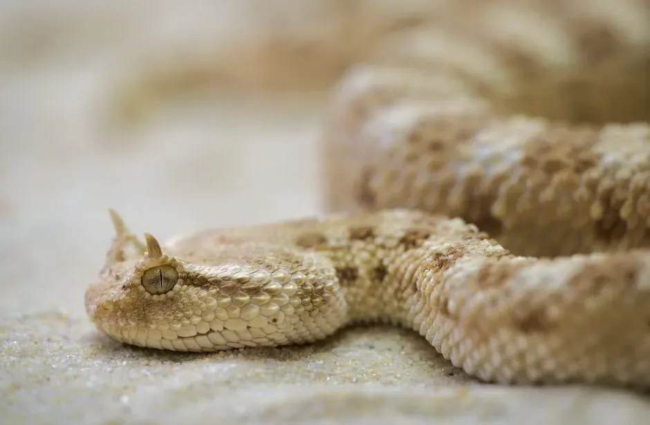 What This Teaches Us About How Evolution Really Works (Image Credits: Pexels)
