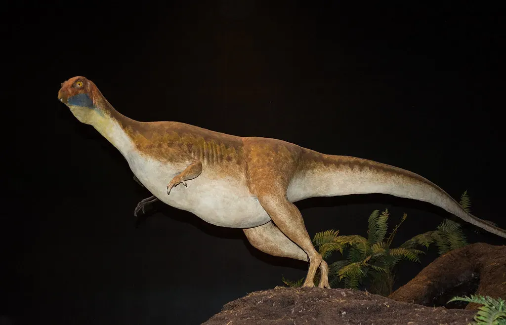 Oryctodromeus: The Dinosaur That Actually Lived Underground (Image Credits: Flickr)