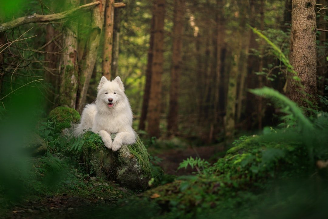 Conclusion (Image Credits: Unsplash)