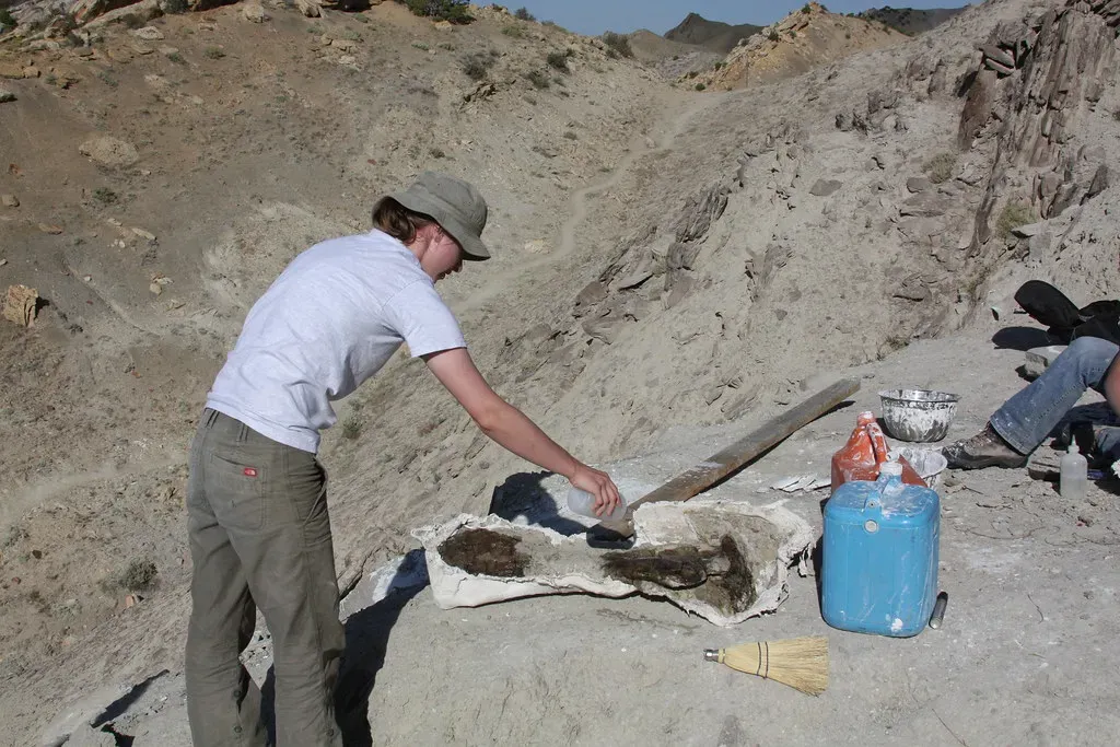 The Journey Continues (Image Credits: Flickr)