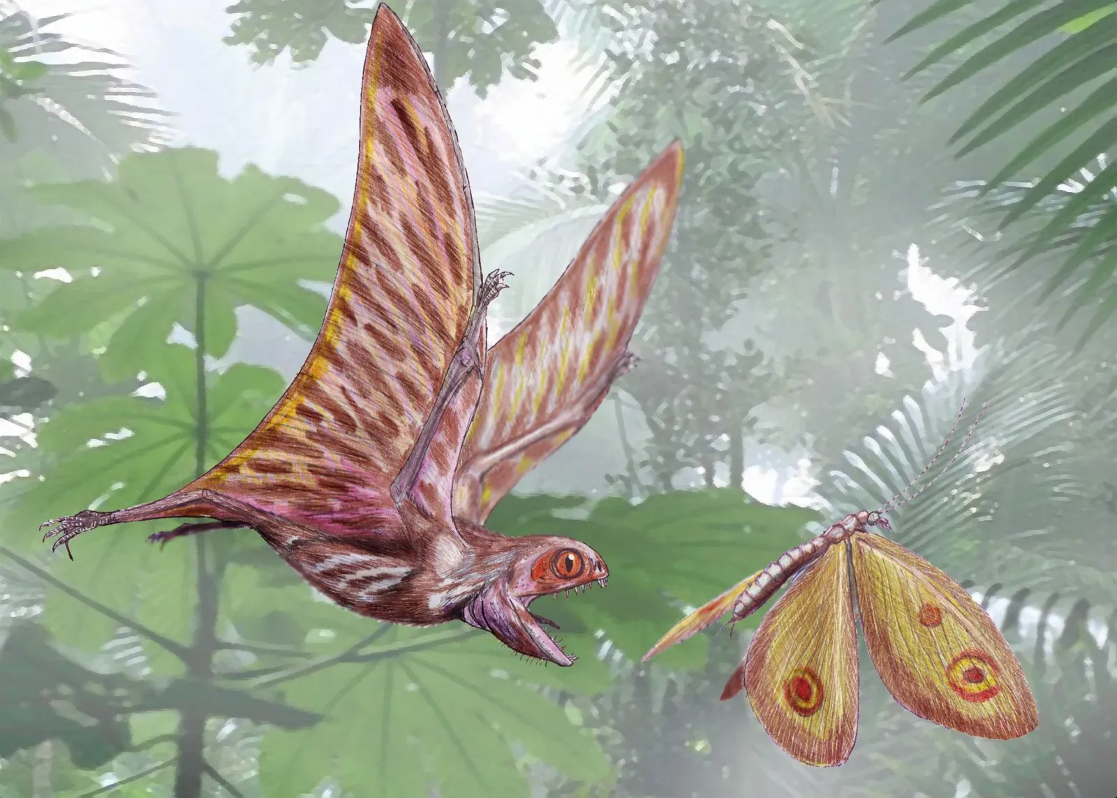#12 - Anurognathus, the Bat-Faced Insect Assassin (dmitrchel@mail.ru, CC BY 3.0)