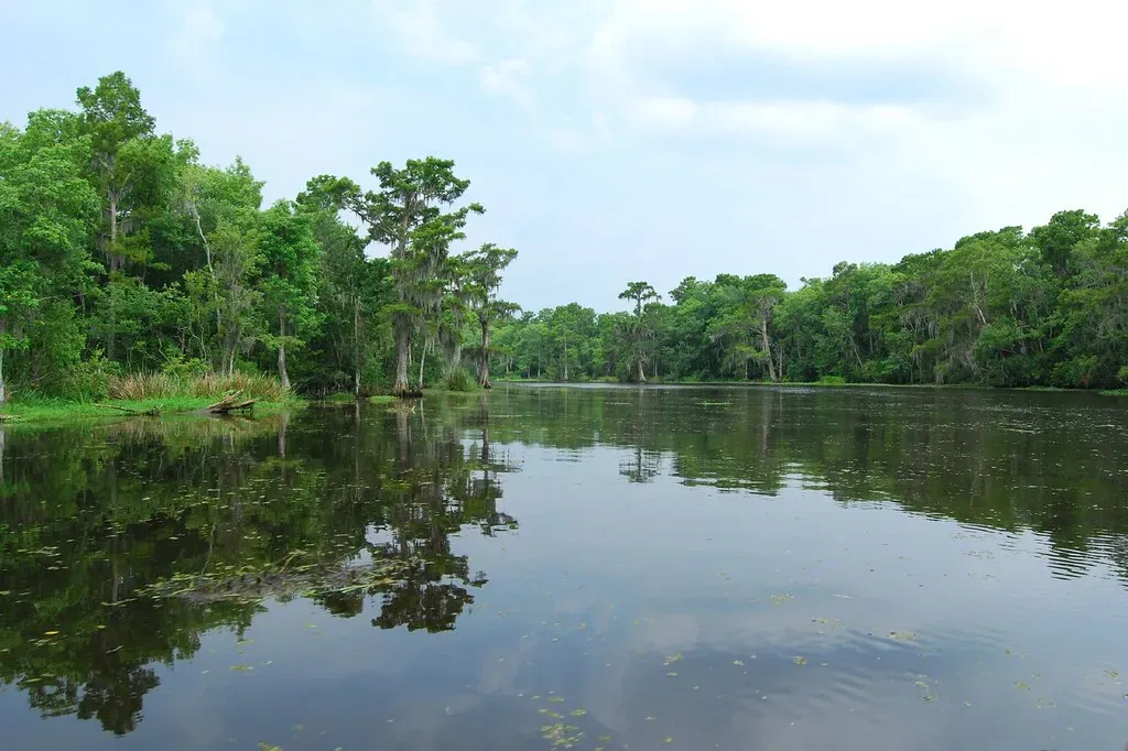 2. Louisiana’s Vanishing Coast: Where Entire Communities Are Losing Ground (Alicia-Lee-07, Flickr, CC BY-SA 2.0)