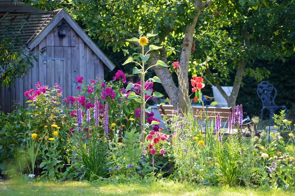 Leo: The Show-Stopping, Sun-Drenched Statement Garden (byzantiumbooks, Flickr, CC BY 2.0)