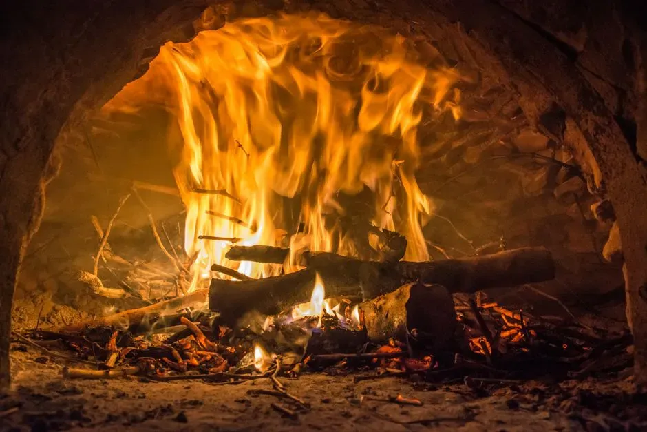 Aquarius – The Unconventional Innovator by the Fire (Image Credits: Pexels)