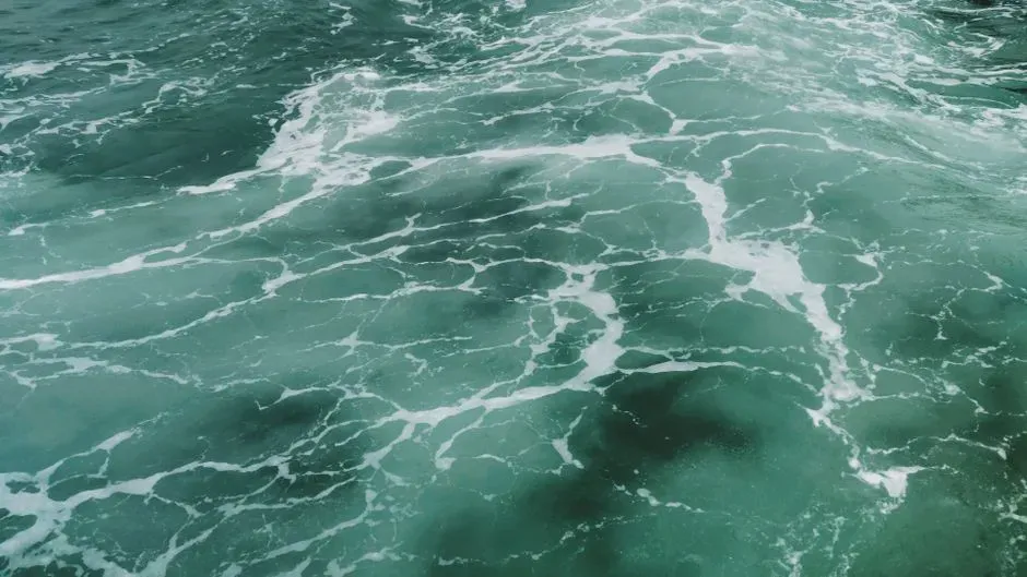 3. The Ocean That Nearly Ran Out Of Oxygen (Image Credits: Pexels)