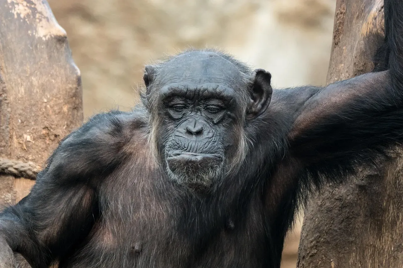 Conclusion (Image Credits: Pixabay)