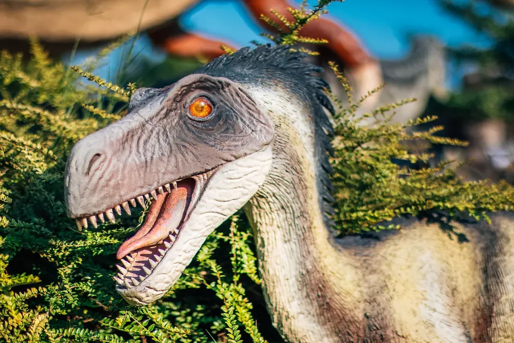 2. Velociraptor: Smarter Than the Movies, Not Quite a Jurassic Park Genius (Image Credits: Flickr)