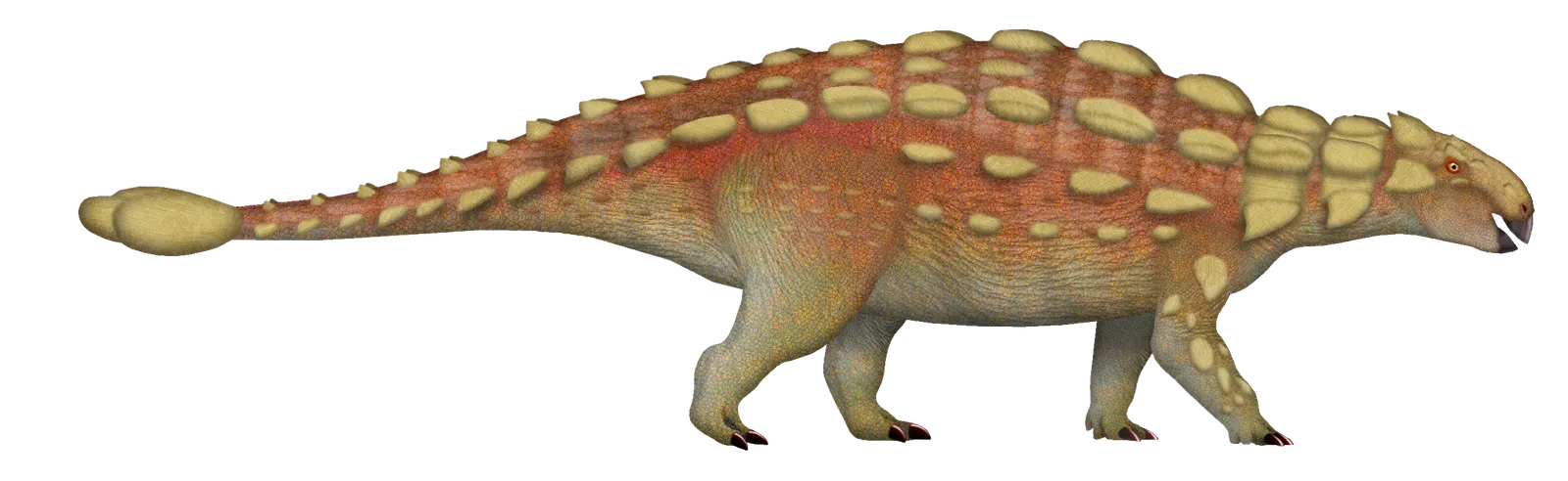 Tail Clubs as Counterattack Weapons (By TotalDino, CC BY 4.0)