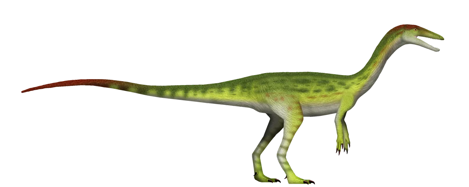 Coelophysis: The Agile Triassic Sprinter (Image Credits: Wikimedia)