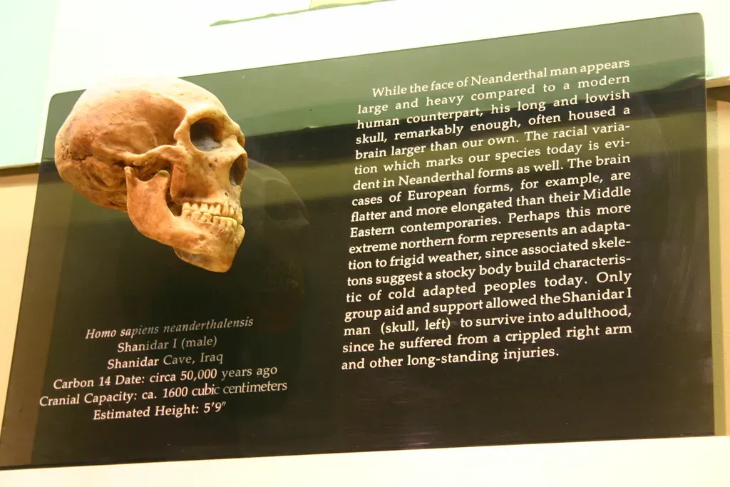 Homo sapiens: The Hyper-Social Strategist (Ryan Somma, Flickr, CC BY-SA 2.0)