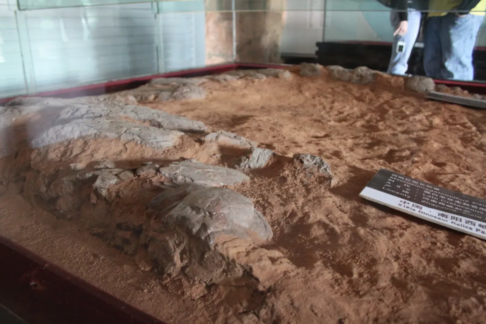 Turning Flat Floodplains Into Bumpy Terrain With Nests (Image Credits: Wikimedia)