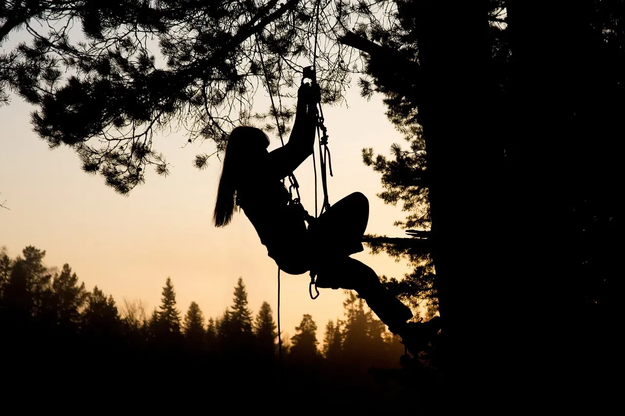 The Life Path Blueprint You Never Knew You Had (Image Credits: Pixabay)