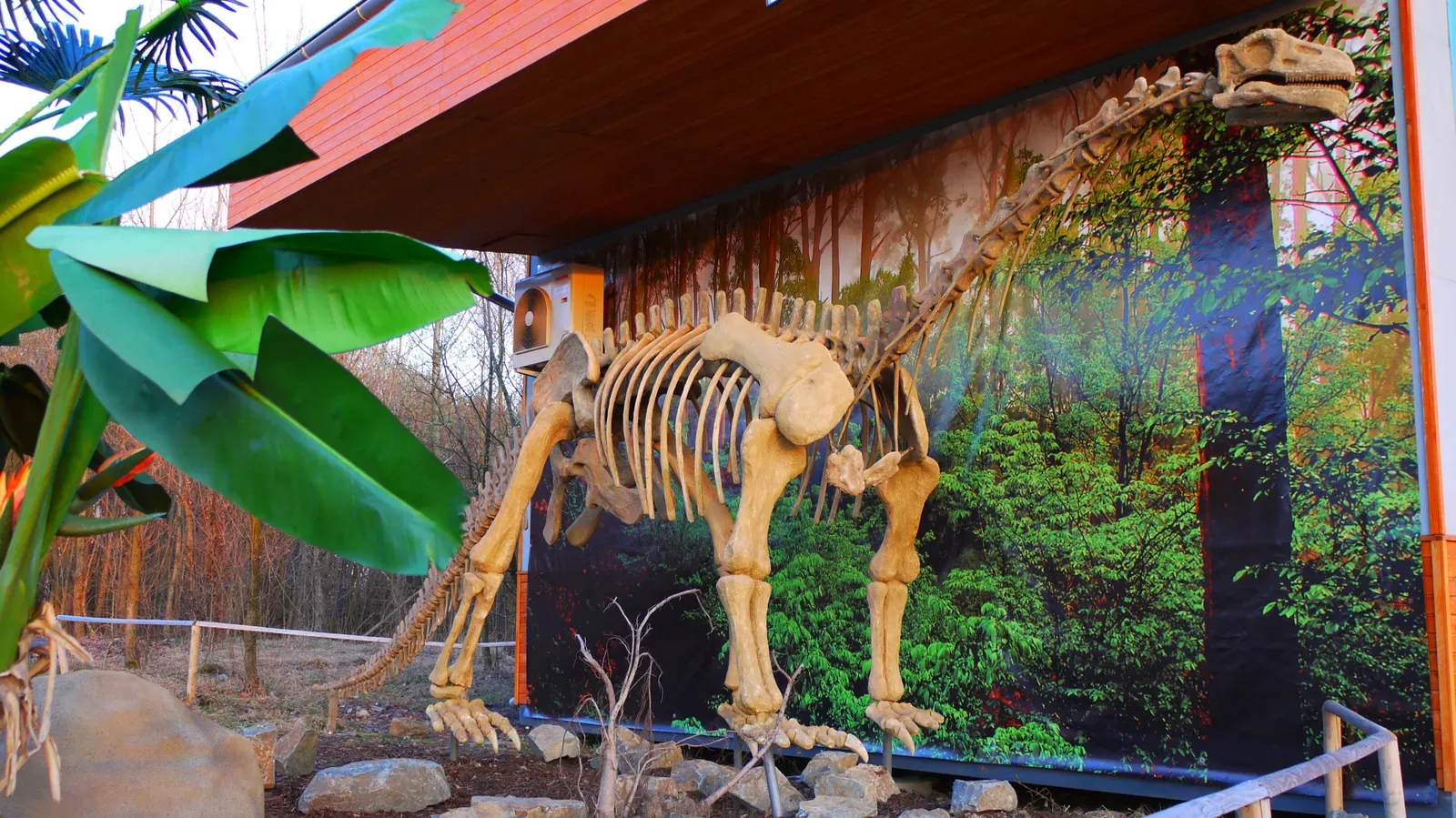 A Short, Chunky Sauropod That Broke the Stereotype (By DinoTeam, CC BY-SA 3.0)
