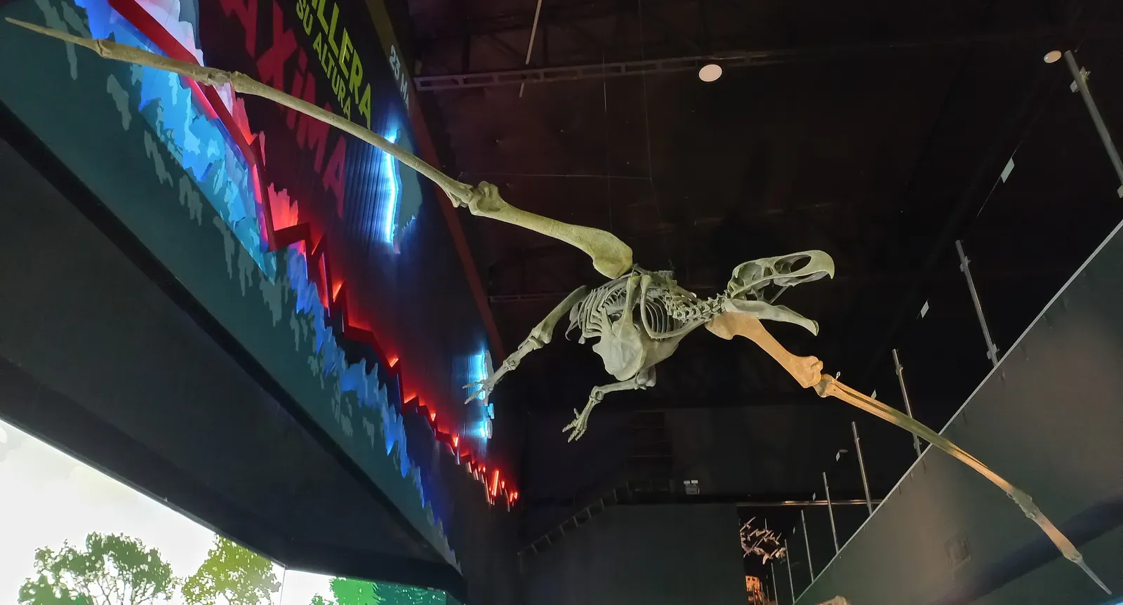 Taking Off Was the Hardest Part (Image Credits: Wikimedia)