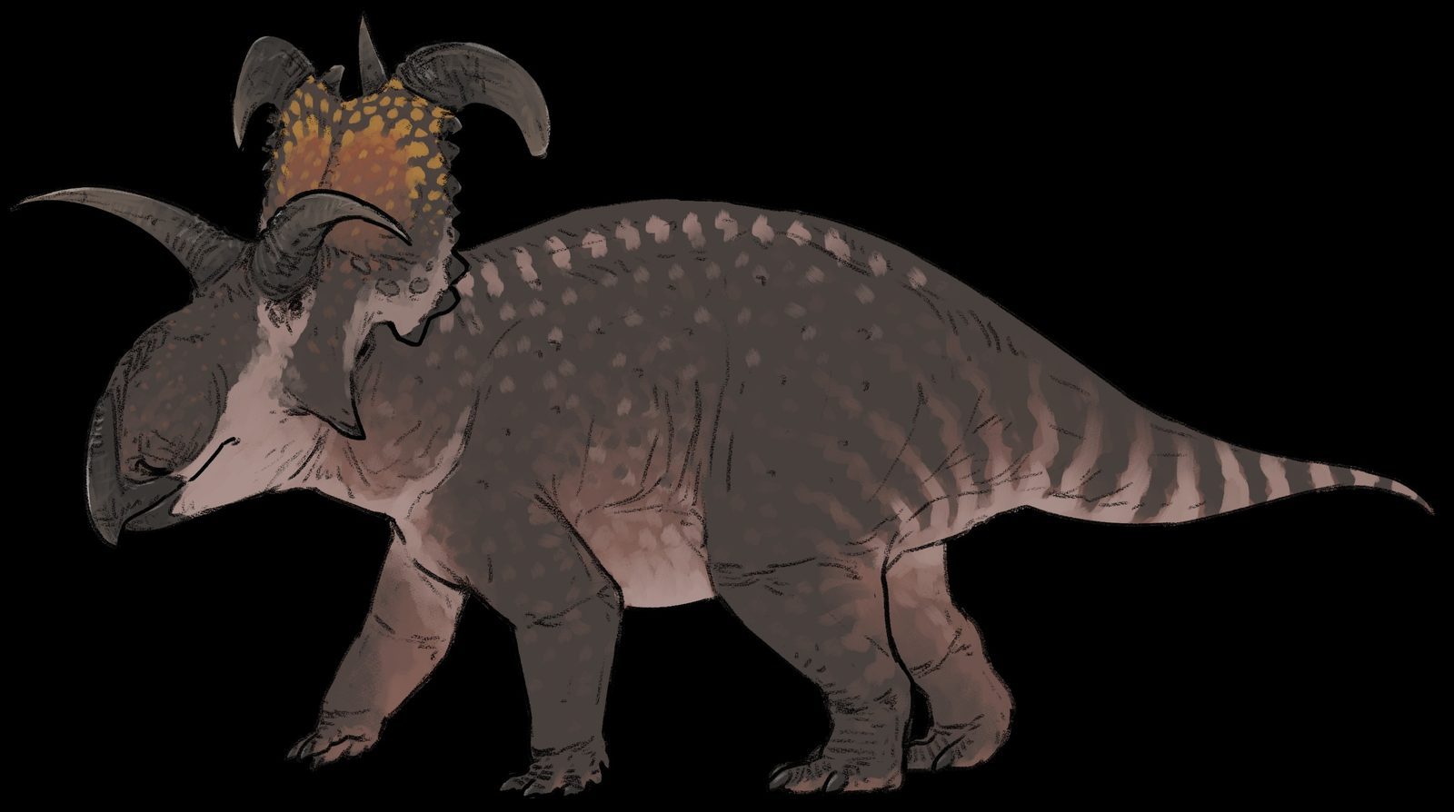 Lokiceratops rangiformis: The Blade-Horned Giant from Montana (Image Credits: Wikimedia)