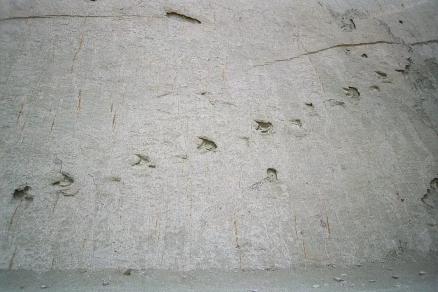 The 313-Million-Year-Old Footprints That Almost Went Unnoticed (By John Martin Perry, CC BY-SA 4.0)