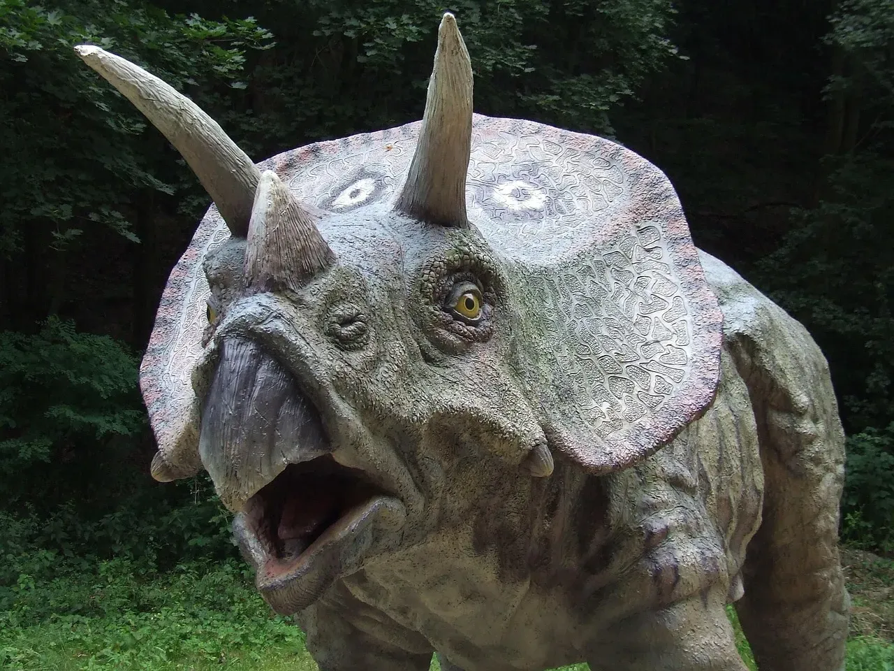 Conclusion: The Myth of the “Safe” Herbivore (Image Credits: Pixabay)