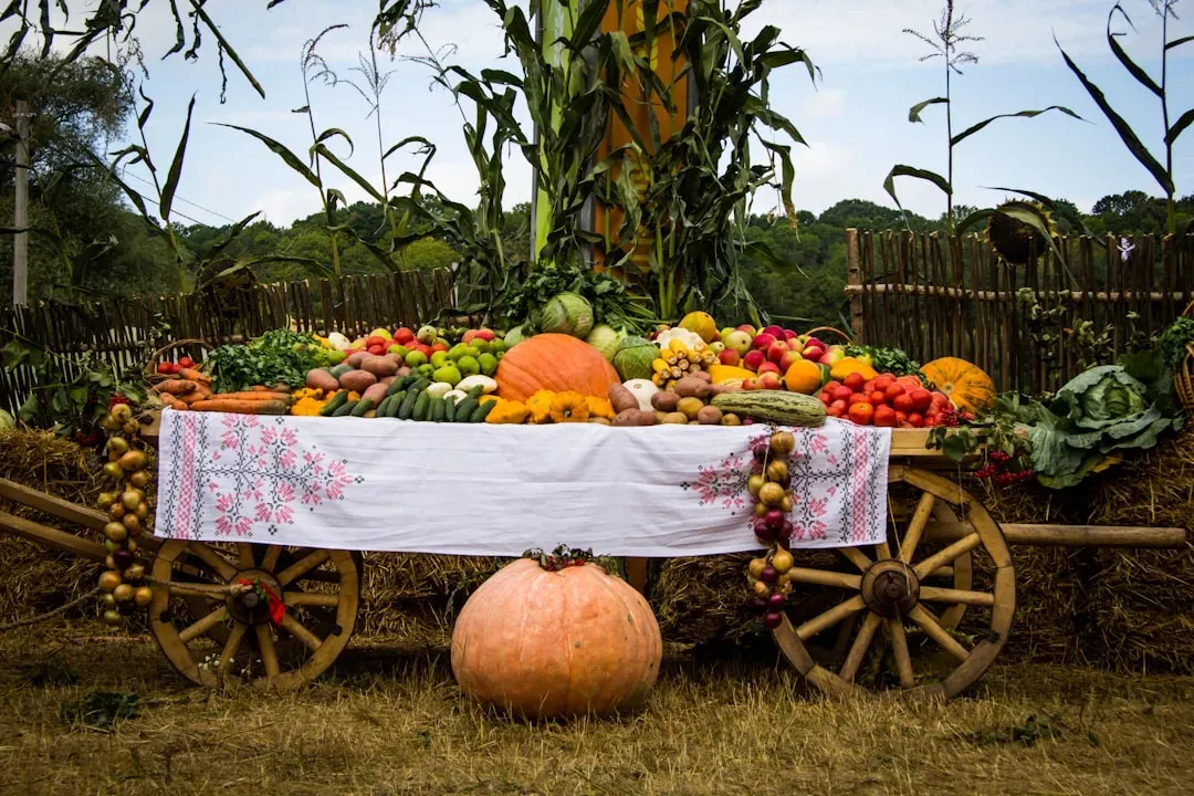 Seasonal Rhythms: Feast, Famine, and Long Lulls (Image Credits: Unsplash)