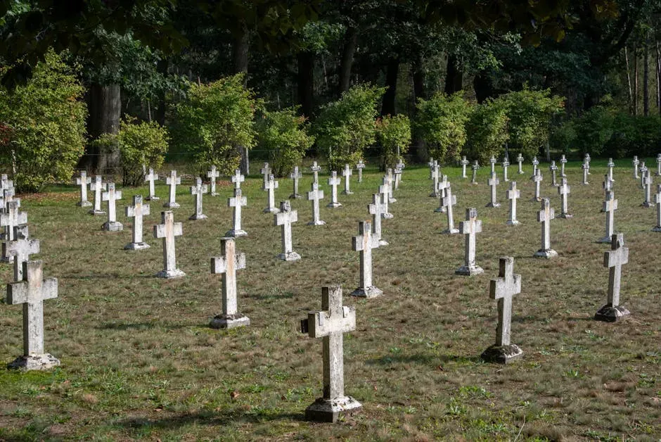 Cemeteries as Community Maps and Memory Banks (Image Credits: Pexels)