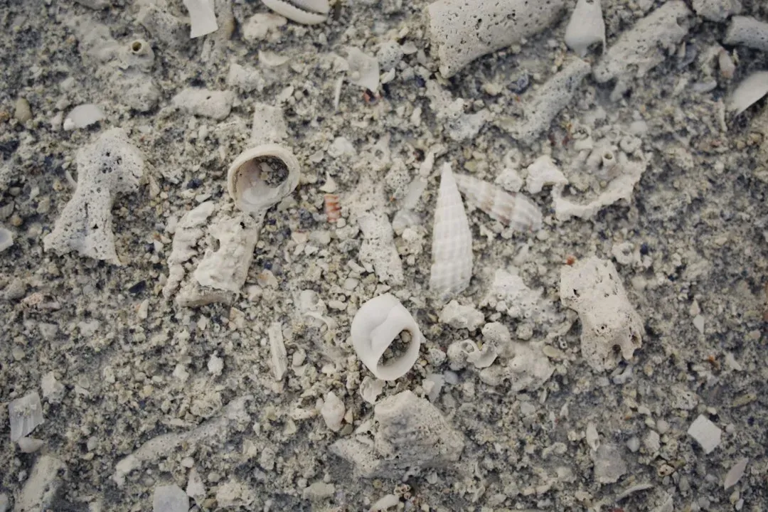 #7 Archaeological Leftovers and Lost Human Artifacts (Image Credits: Unsplash)