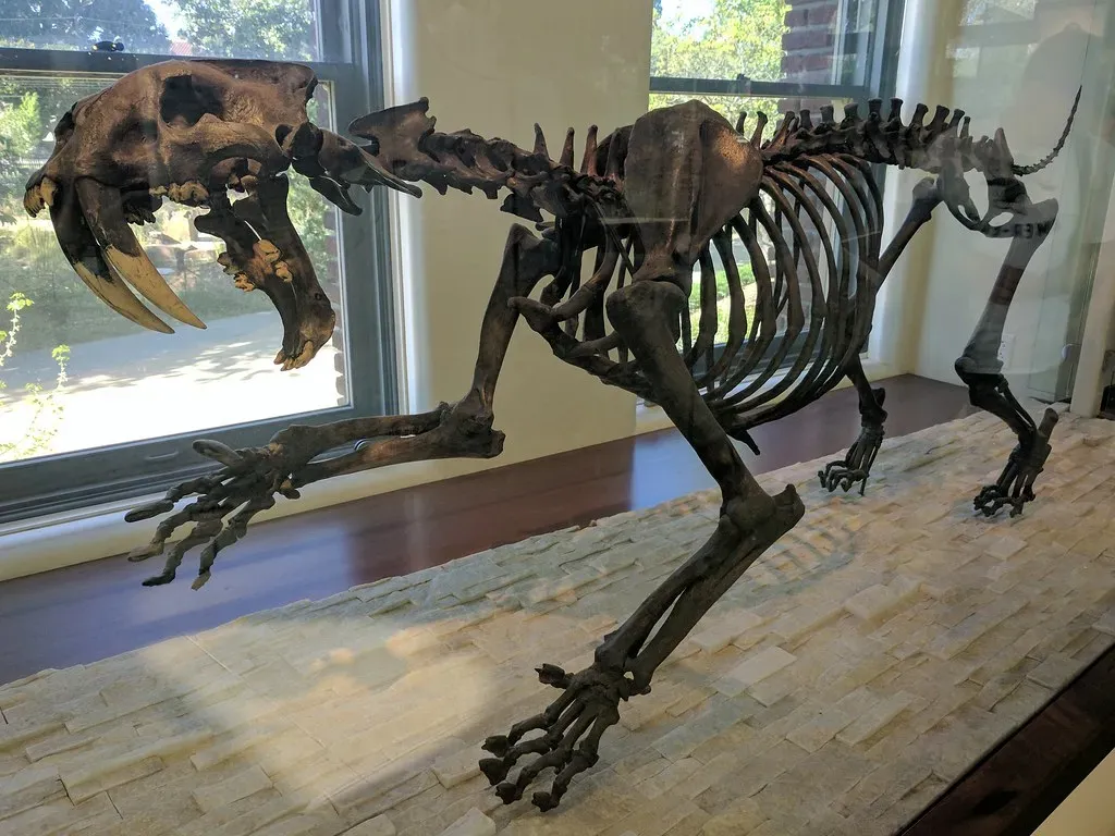 The Extinction: A Perfect Storm of Bad Luck (PaintedByDawn, Flickr, CC BY 2.0)