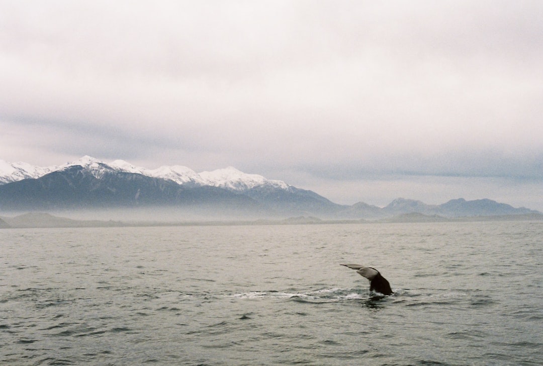 Cape Krusenstern's Ancient Beach Hunters (Image Credits: Unsplash)