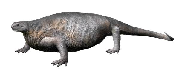 Cotylorhynchus: The Massive Plant-Eater with Seven Chins (Image Credits: Wikimedia)