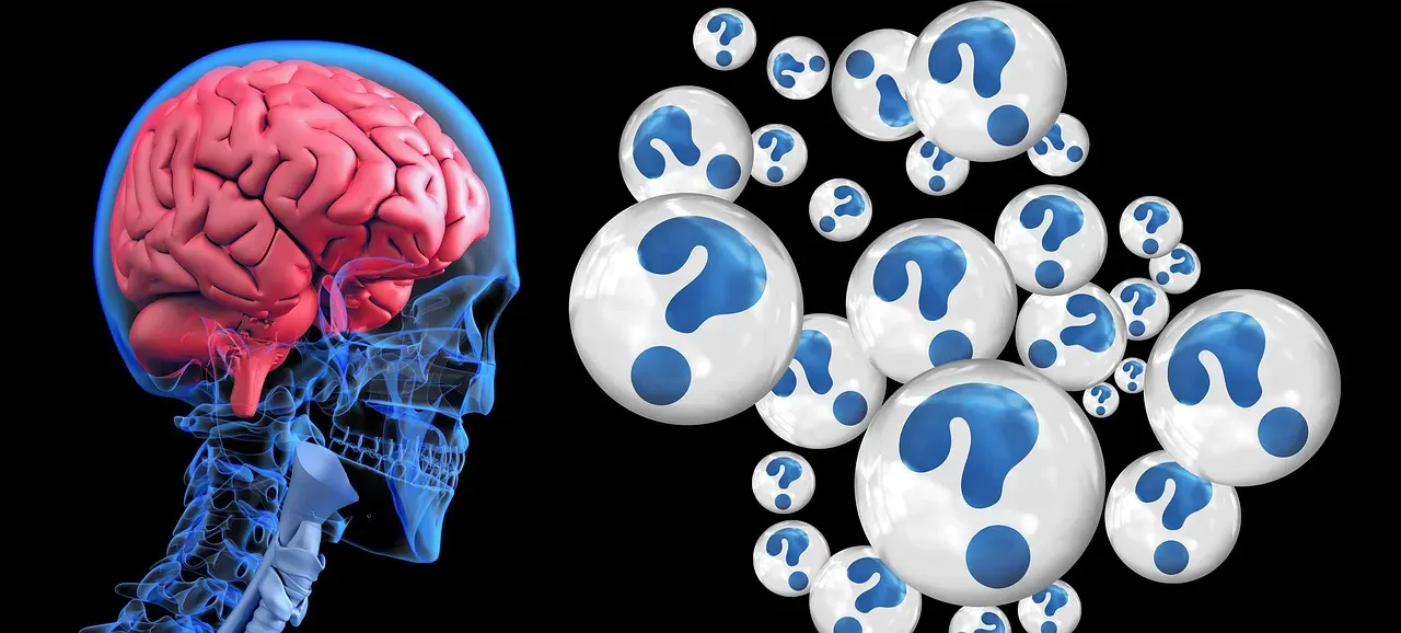 Your Brain Is Built on Repurposed Tools and Trade‑Offs (Image Credits: Pixabay)