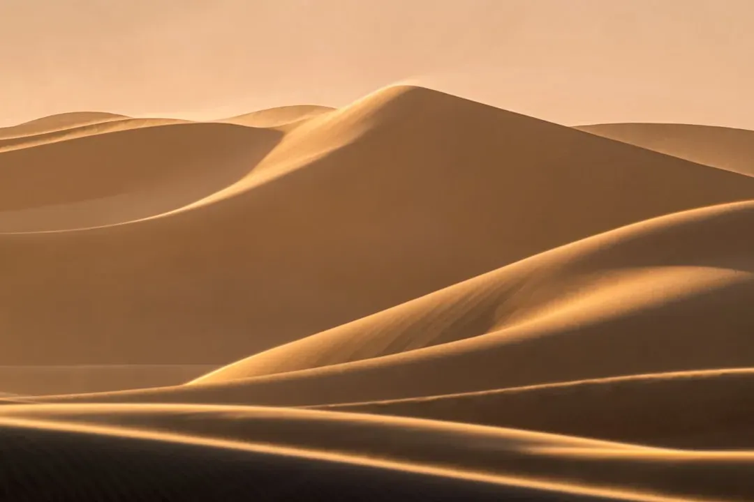 #8 - A Dune's Height and Volume Track Long-Term Sand Supply and Wind Power (Image Credits: Unsplash)