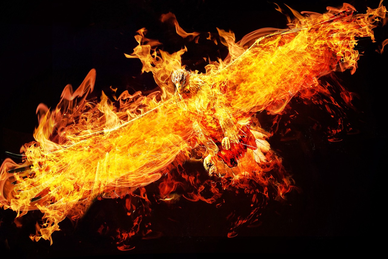 They Transform Pain Into Power Like Scorpio's Phoenix Rising (Image Credits: Pixabay)