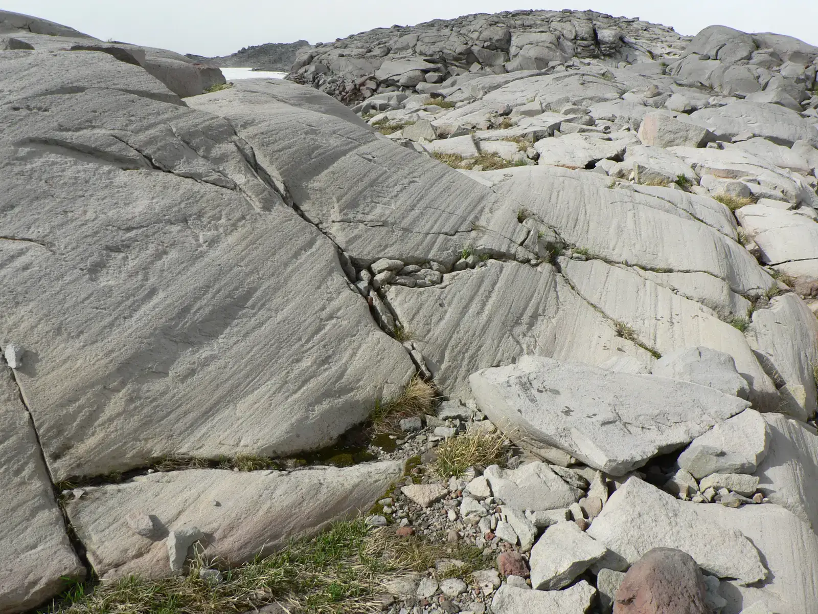 #8 Striations and Polished Bedrock: Scratches from an Ice‑Loaded Sandpaper (By Walter Siegmund, CC BY 2.5)