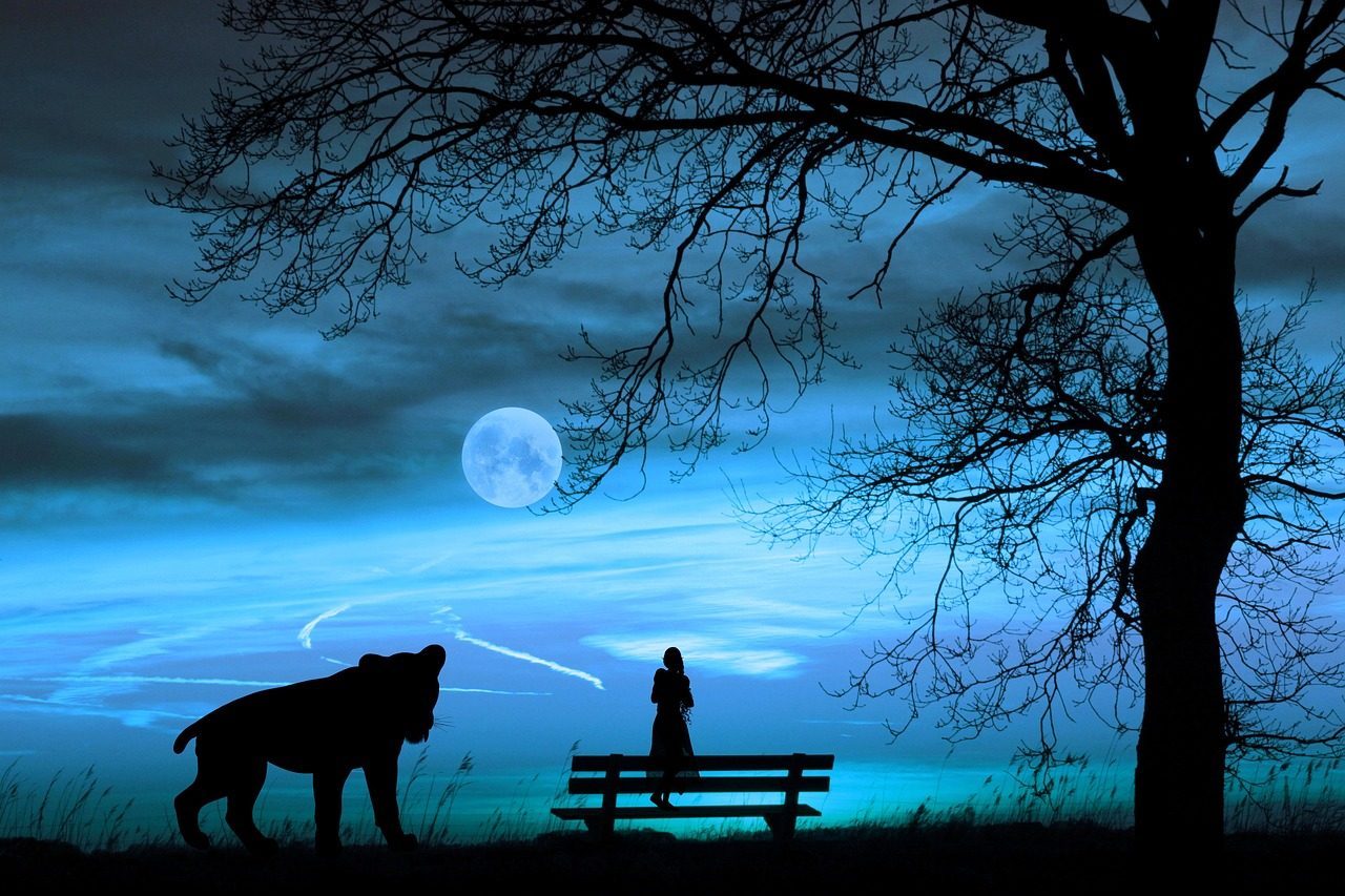 The Emotional Blueprint: What Your Moon Sign Reveals (Image Credits: Pixabay)