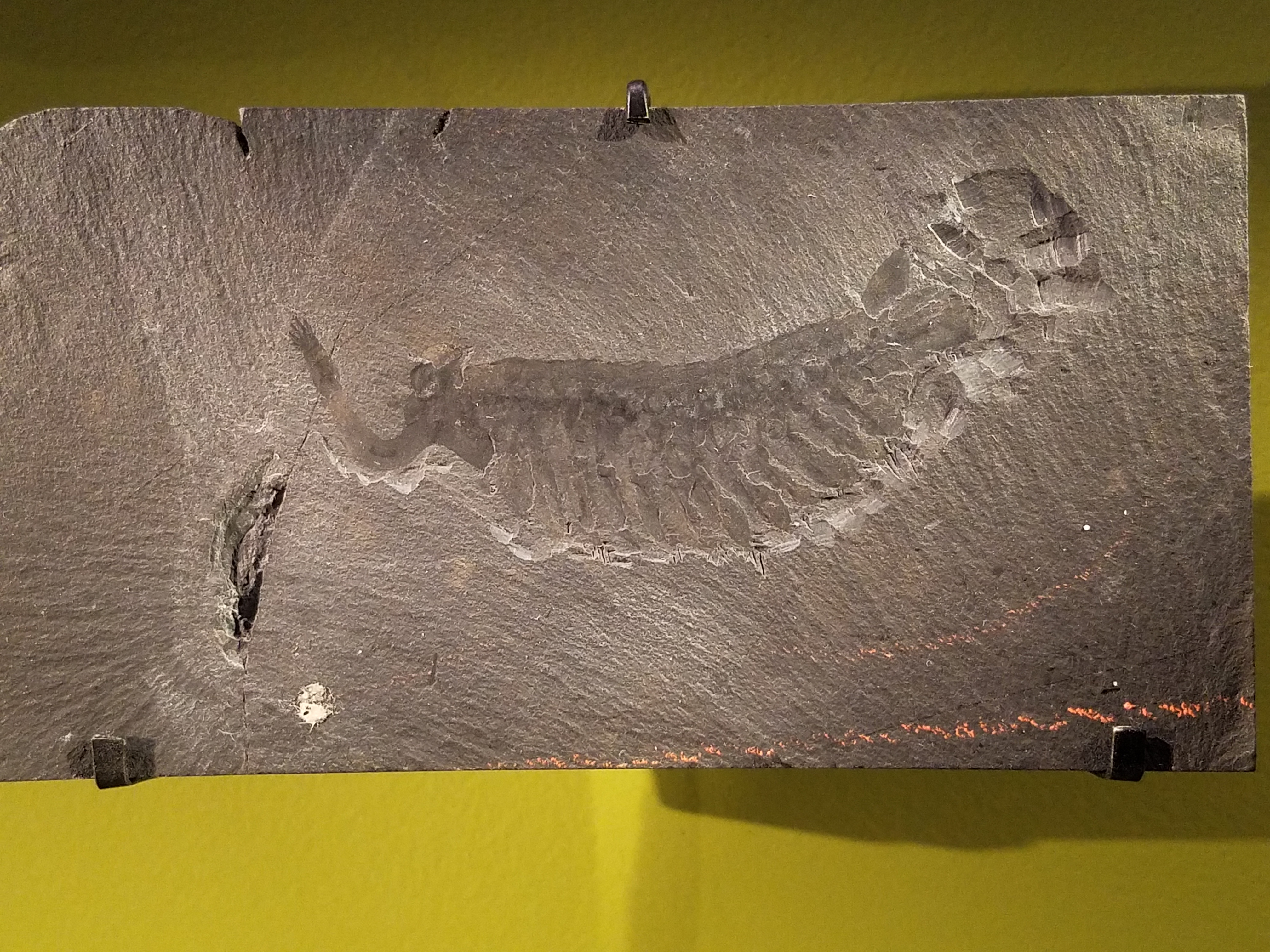 The Moment Scientists Laughed at Science (Image Credits: Wikimedia)