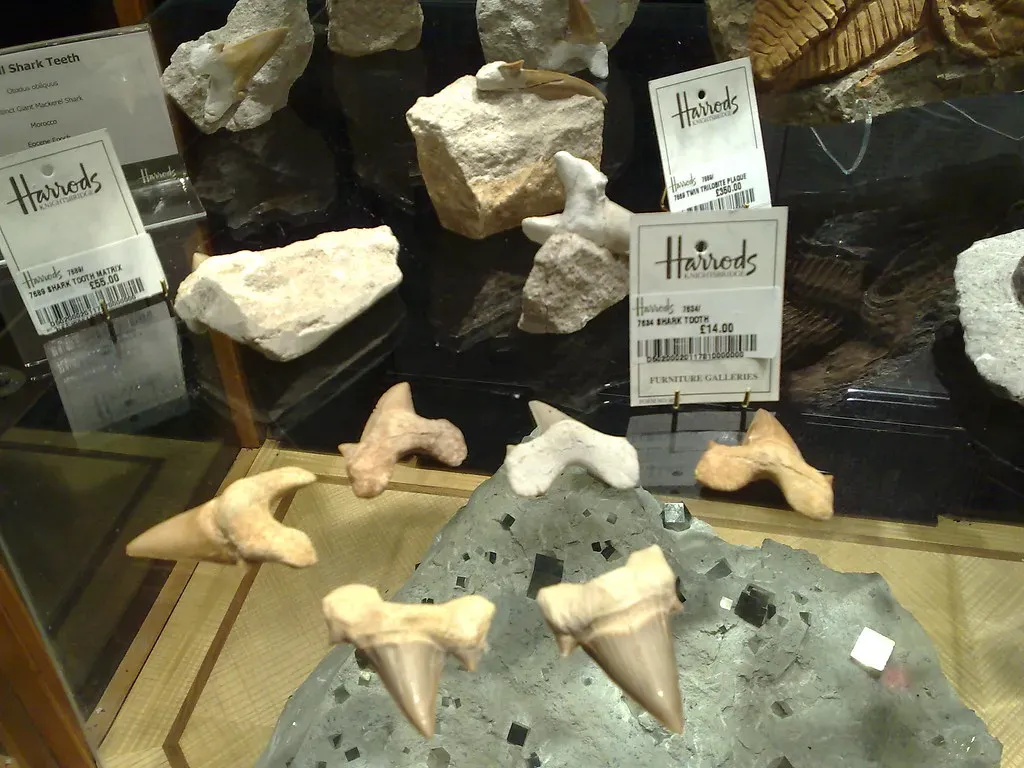 Slowing Real Discoveries: How Poaching Distorts What We Think We Know (fairlybuoyant, Flickr, CC BY-SA 2.0)