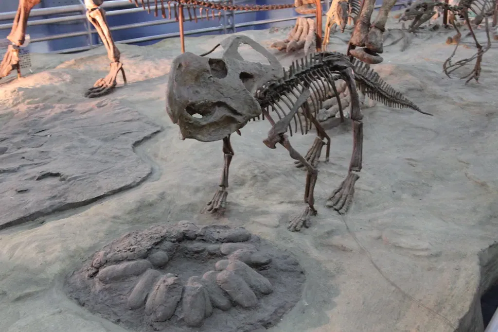 Conclusion: Ancient Love Etched in Stone (Image Credits: Flickr)