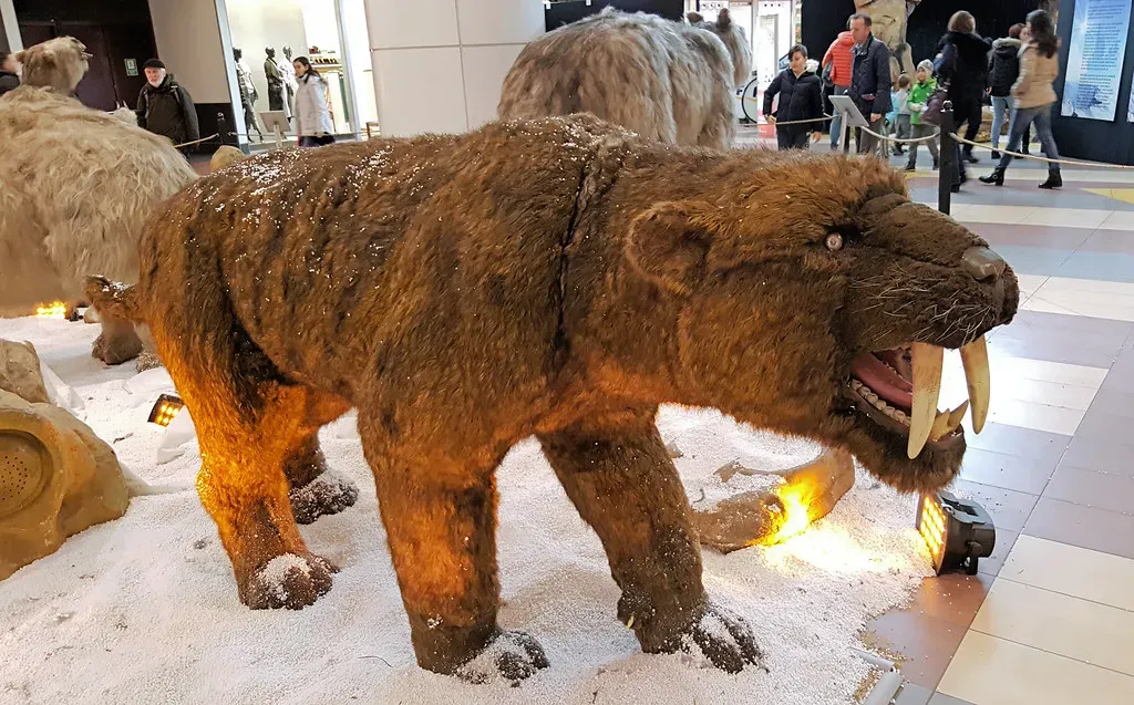 4. Smilodon (Saber-Toothed “Tiger”) – The Neighborhood Ambush Predator (Alex Panoiu, Flickr, CC BY 2.0)