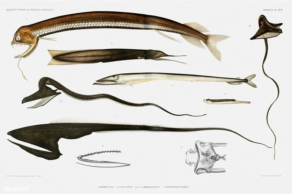 When New Species Don’t Fit Neatly On The Tree Of Life (Free Public Domain Illustrations by rawpixel, Flickr, CC BY 2.0)