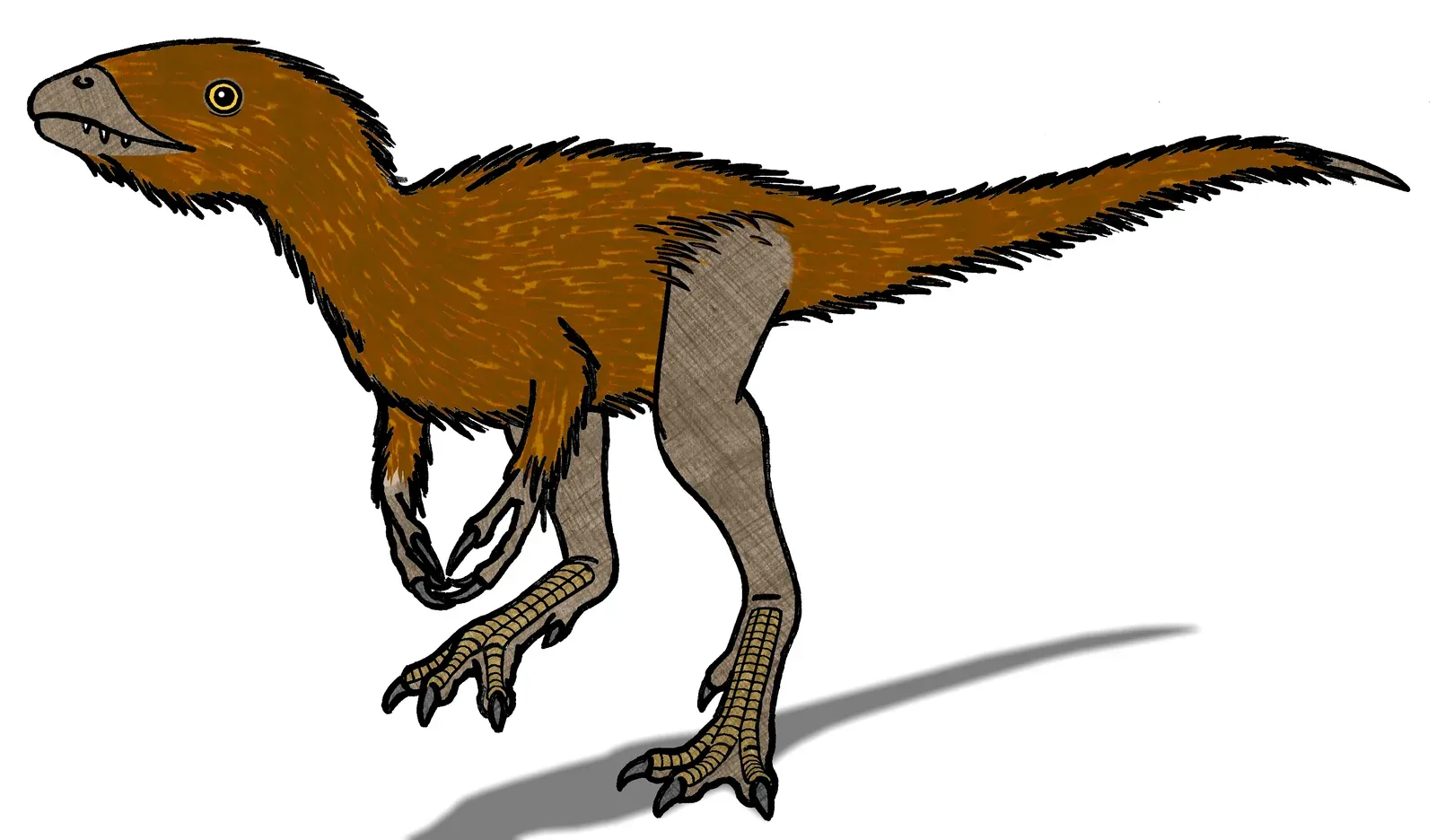 Getting Smaller to Get Airborne: The Shrinking Dinosaur Paradox (By Conty, CC BY 3.0)