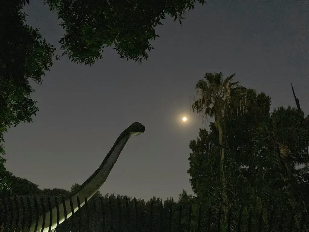 What You Mean by “Understanding Time” Really Matters (Howdy, I'm HMK, Flickr, CC BY 2.0)