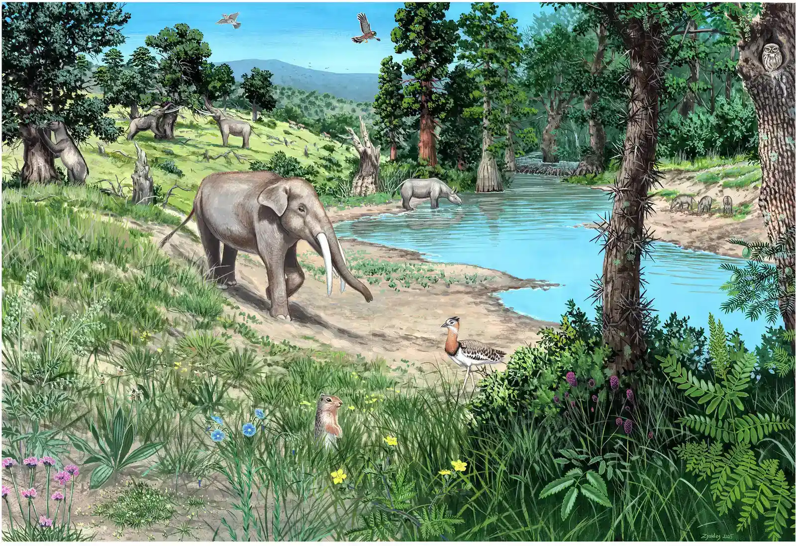 The Great Nutrient Highway: Megafauna and Soil Fertility (Czyżewski, Szymon; Søndergaard, Skjold Alsted; Molnár, Ábel Péter; Kerr, Matthew Roy; Kristensen, Jeppe Aagaard; Atkinson, Joe; Trepel, Jonas; Sykut, Maciej; Radzikowski, Paweł; Termansen, Signe Sangill; Wałach, Karol; Pearce, Elena A.; Pang, Sean E.H.; Zając, Bartłomiej; Bergman, Juraj (2026-04). "Revisiting Europe's temperate forests: Palaeoecological evidence for an herbivory-driven woodland-grassland mosaic biome". Biological Conservation. 316: 111749. doi:10.1016/j.biocon.2026.111749, CC BY 4.0)
