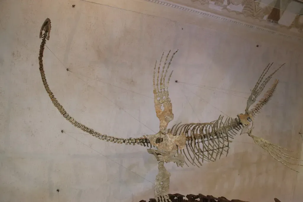 #3 - Cope's Reputation, Torched Over a Backwards Skeleton (Image Credits: Flickr)