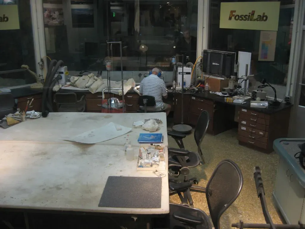 Technology Is Turbocharging Fossil Discovery in Ways Never Seen Before (Ken Lund, Flickr, CC BY-SA 2.0)