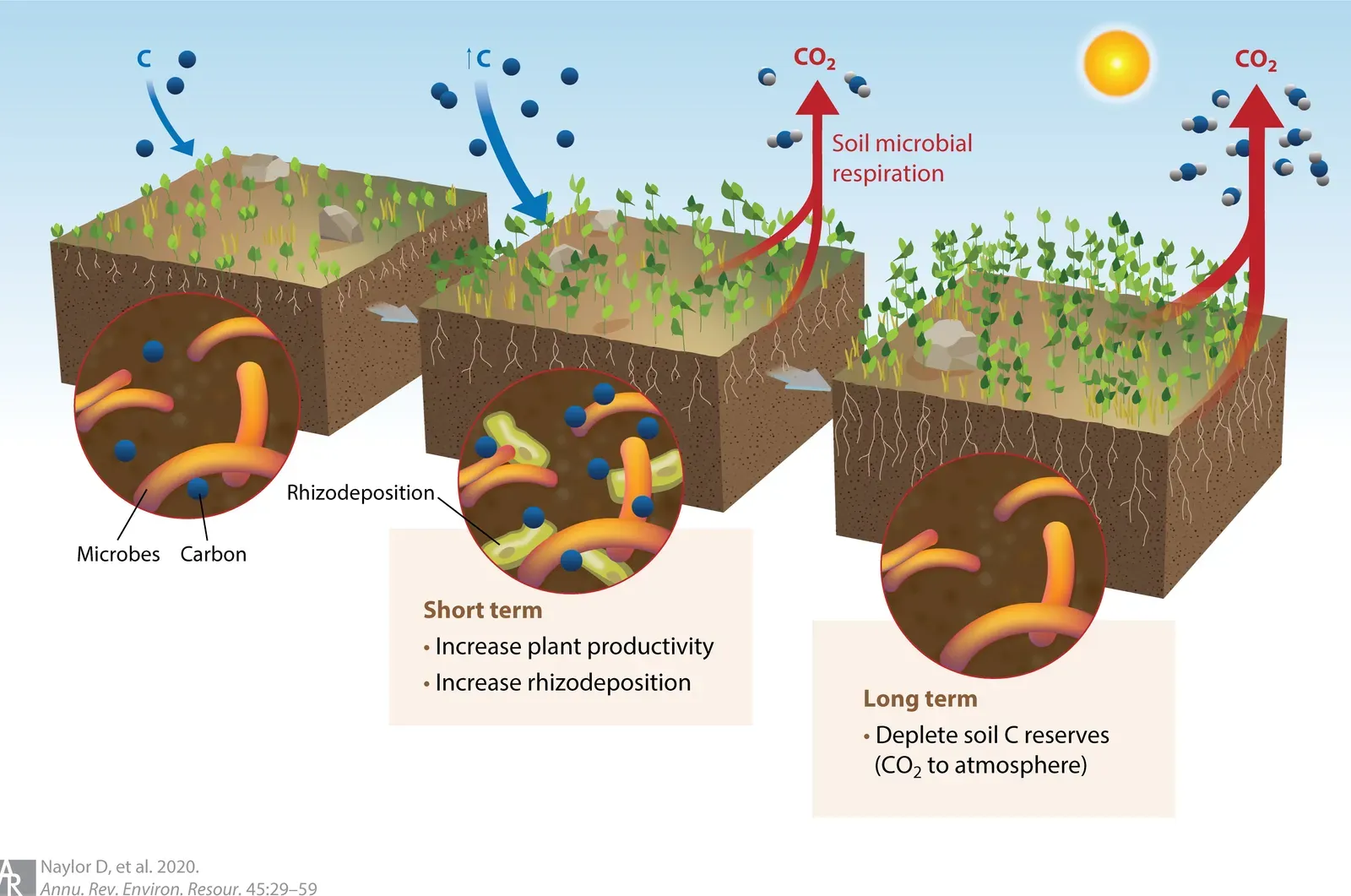 The Carbon Dioxide Connection (Image Credits: Wikimedia)