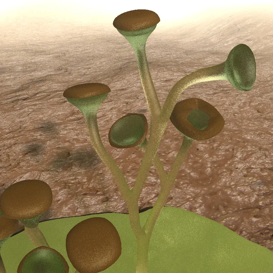 Strange Plant Bodies: Stems Without Leaves and Roots That Barely Deserve the Name (Own work by uploader. Created with Blender., CC BY 3.0)