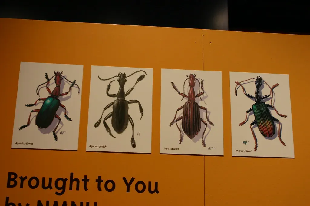 #1 - Darwin's Own Beetle Was "Lost" for Nearly 180 Years (Ryan Somma, Flickr, CC BY-SA 2.0)
