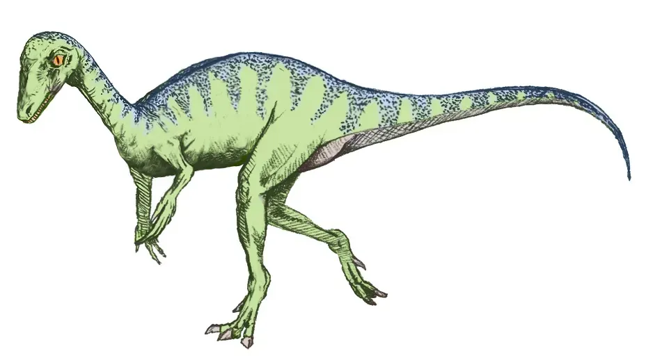 2. Eoraptor - The Dawn Thief That Started It All (Image Credits: Wikimedia)